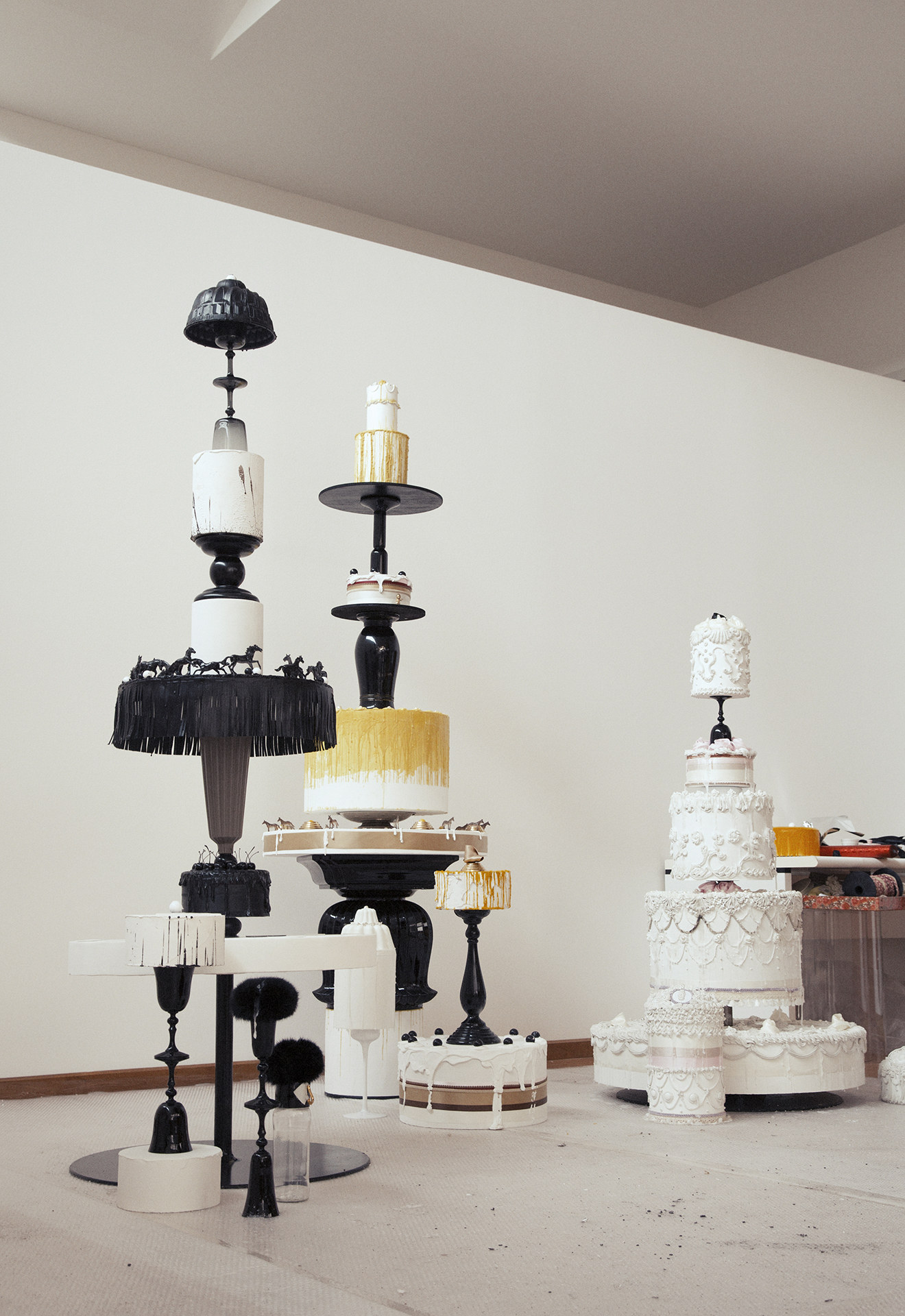 Dragana Sapanjoš, Bu! Kakke - IS ALWAYS FADING, 2013 (image 3)