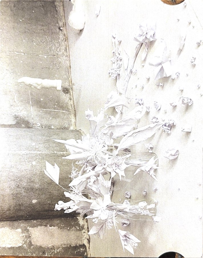 Cover of John Doe – Dragana Sapanjoš, 2012