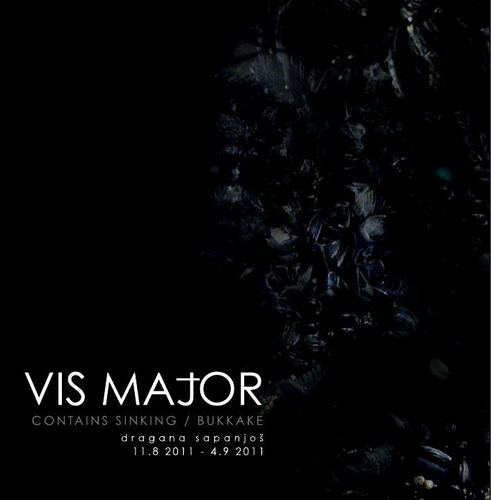 Cover of Vis Major – Dragana Sapanjoš, 2011