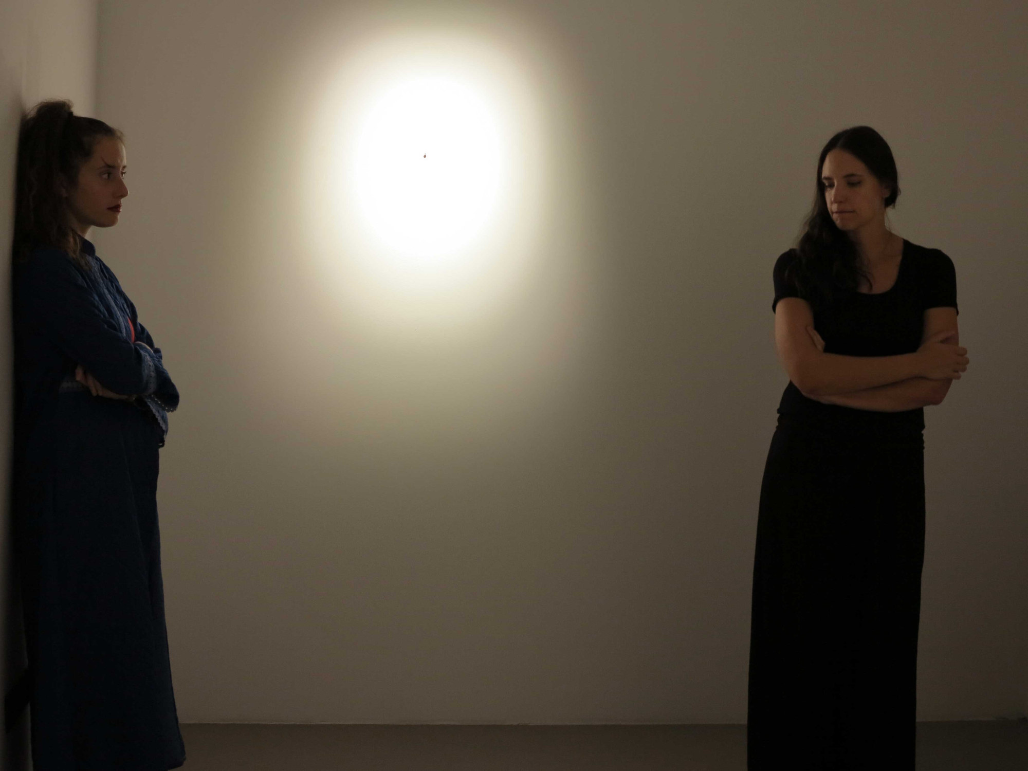 Dragana Sapanjoš, COME UN CAMMELLO IN UNA GRONDAIA, 2017 (image 2)