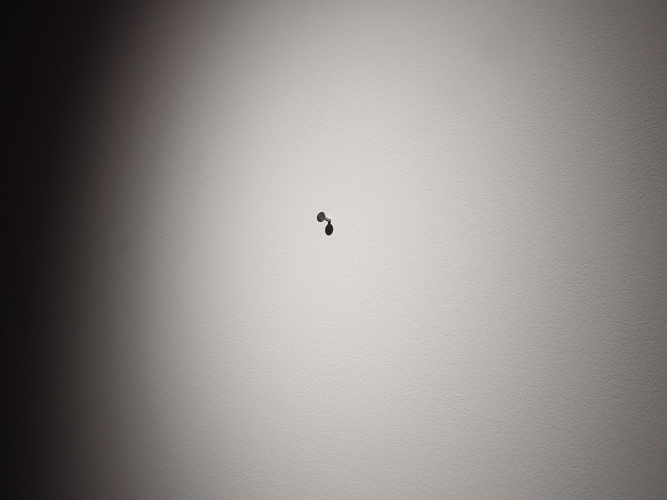 Dragana Sapanjoš, COME UN CAMMELLO IN UNA GRONDAIA, 2017 (image 3)
