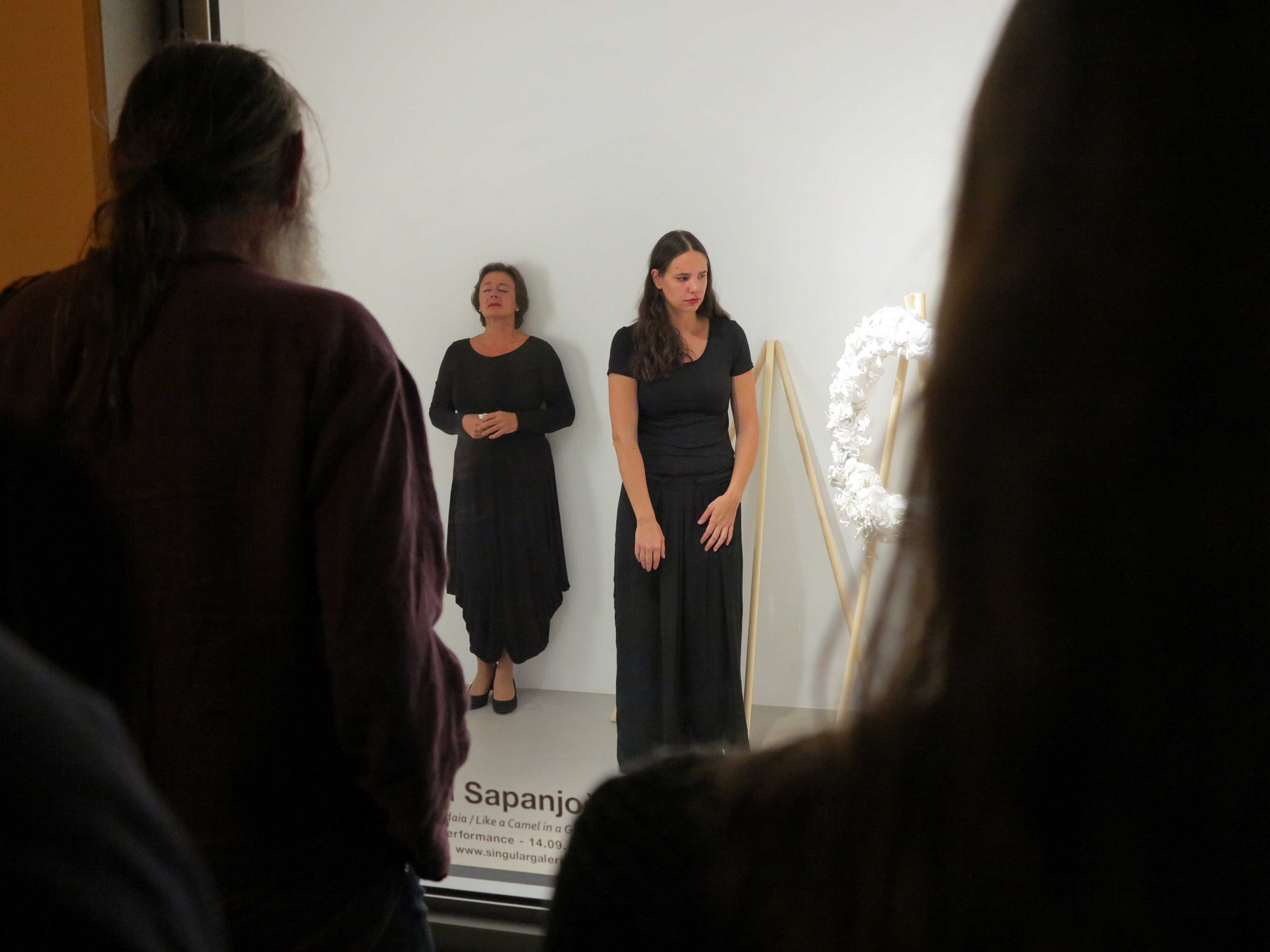 Dragana Sapanjoš, COME UN CAMMELLO IN UNA GRONDAIA, 2017 (image 4)