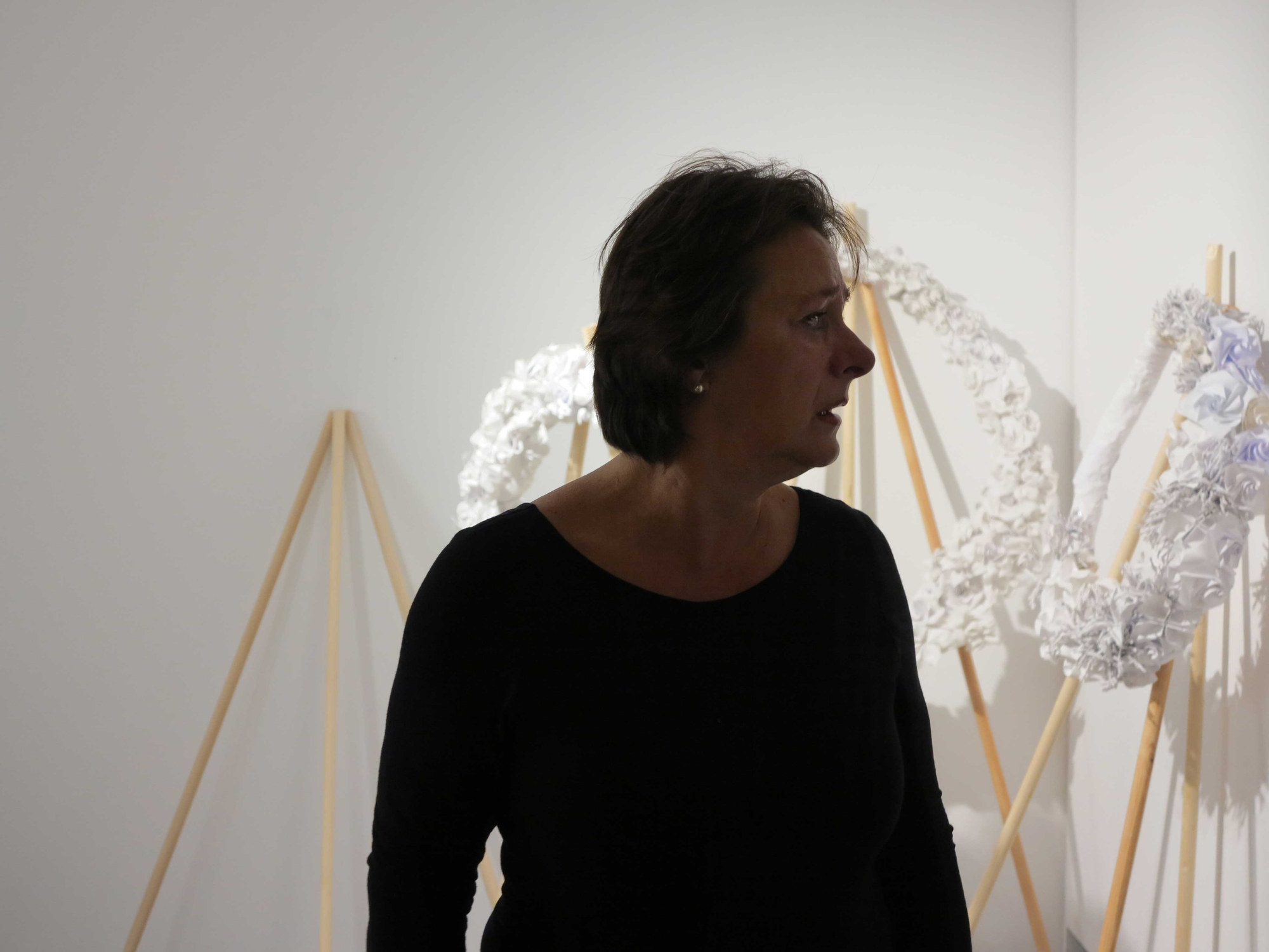 Dragana Sapanjoš, COME UN CAMMELLO IN UNA GRONDAIA, 2017 (image 5)