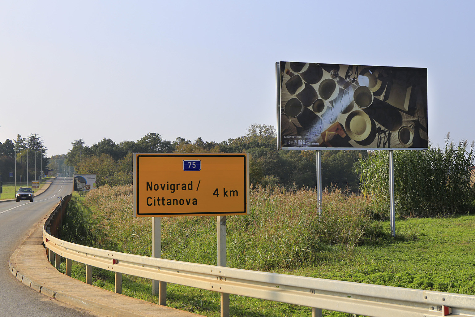Dragana Sapanjoš, DRIVE THROUGH, 2020 (image 5)