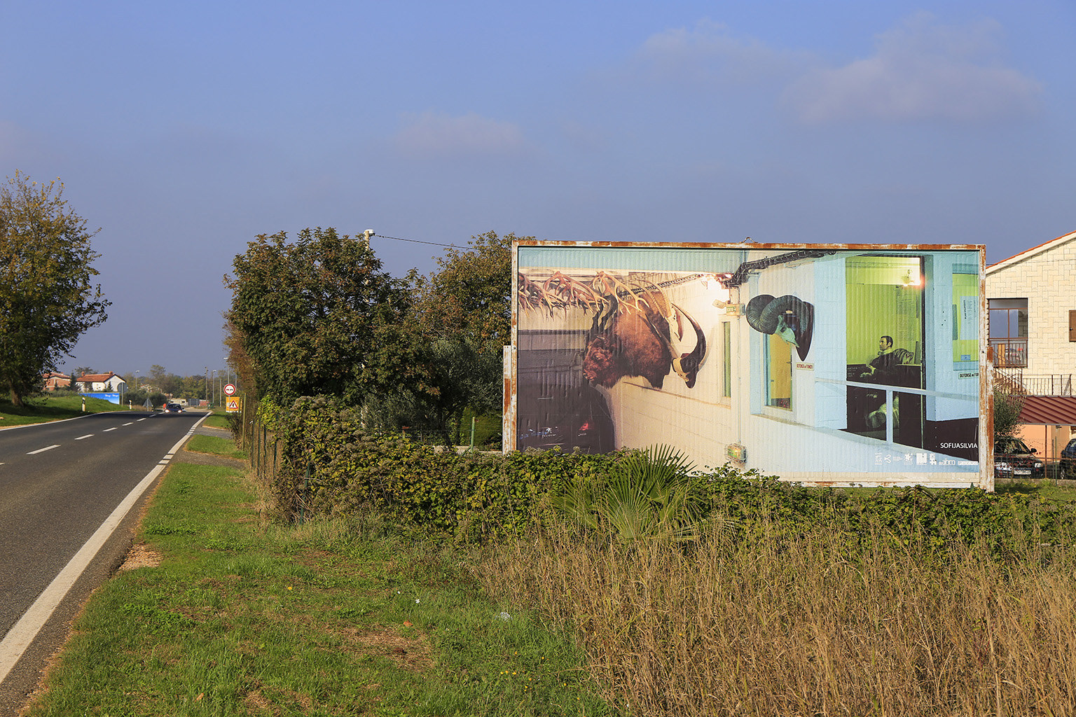 Dragana Sapanjoš, DRIVE THROUGH, 2020 (image 6)