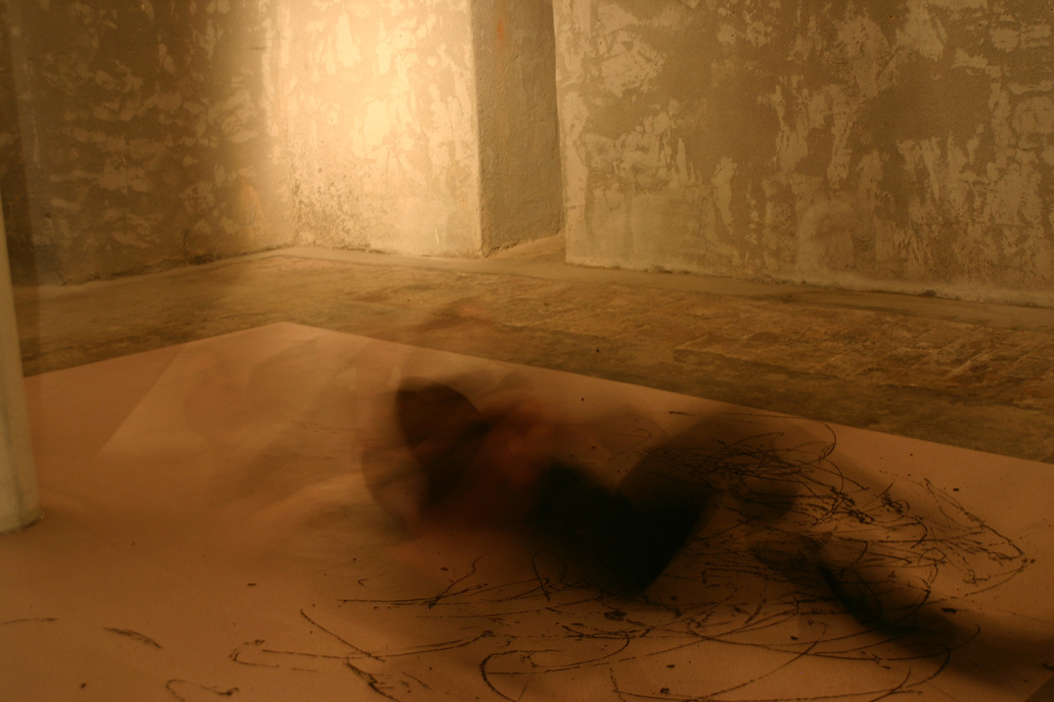 Dragana Sapanjoš, GLOAMING / DAWN, 2011 (image 3)