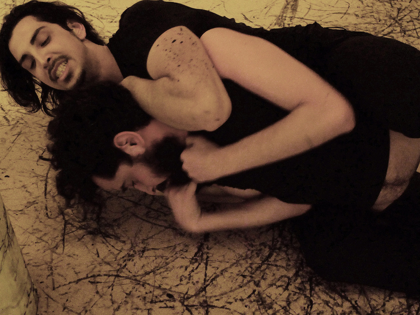 Dragana Sapanjoš, GLOAMING / DAWN, 2011 (image 10)