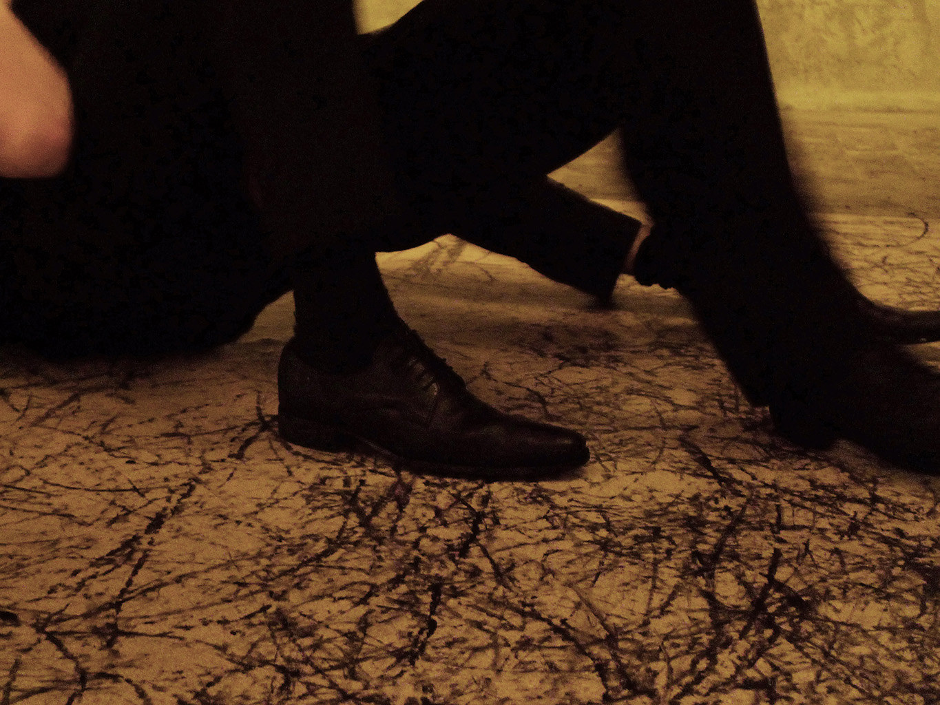Dragana Sapanjoš, GLOAMING / DAWN, 2011 (image 11)