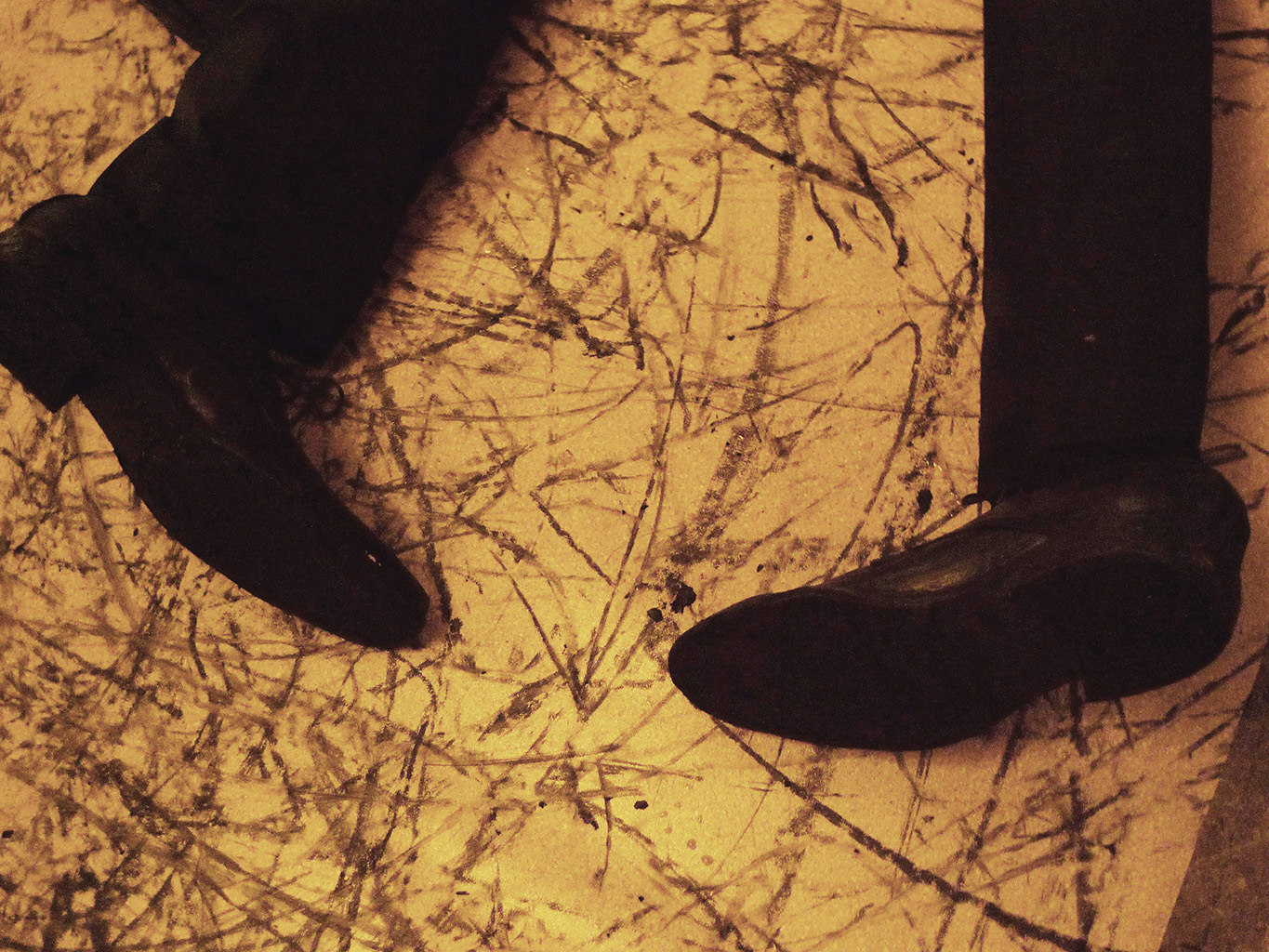 Dragana Sapanjoš, GLOAMING / DAWN, 2011 (image 12)
