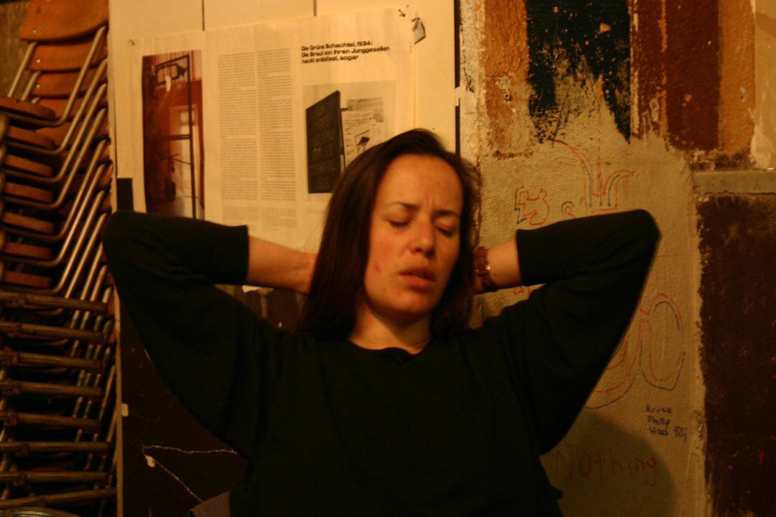 Dragana Sapanjoš, GLOAMING / DAWN, 2011 (image 14)