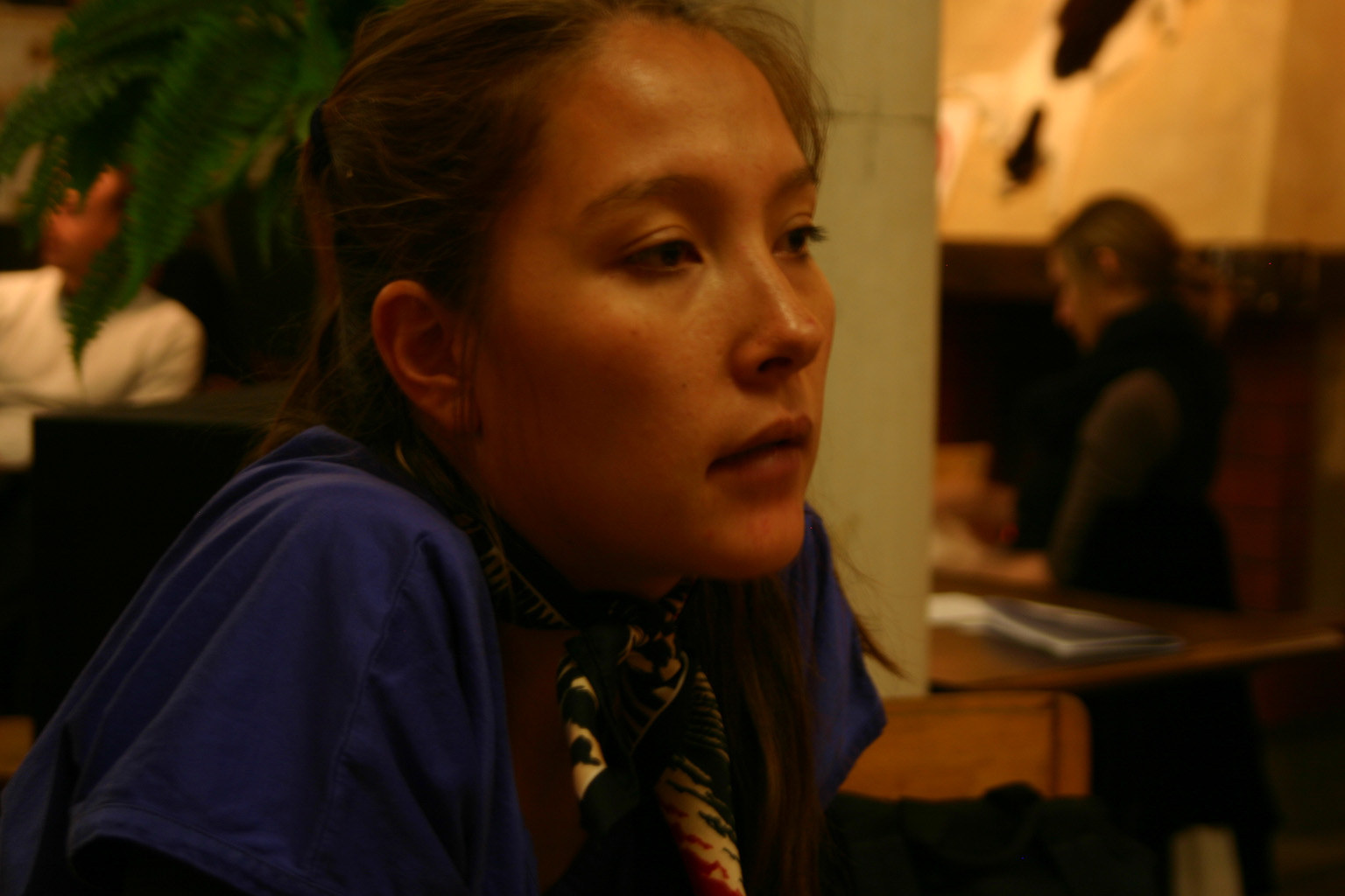 Dragana Sapanjoš, GLOAMING / DAWN, 2011 (image 15)