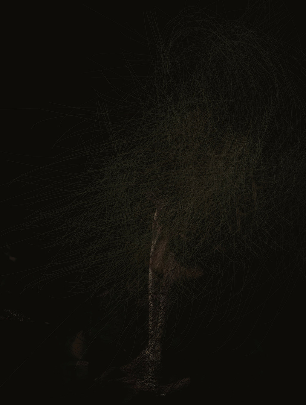 Dragana Sapanjoš, GLOAMING / DAWN, 2011 (side work 1)