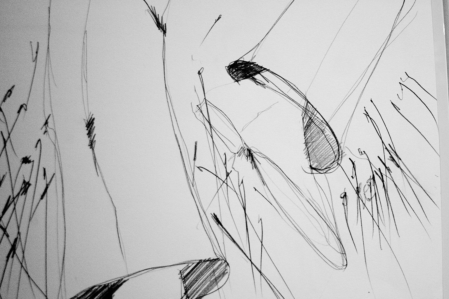 Dragana Sapanjoš, GLOAMING / DAWN, 2011 (study 4)