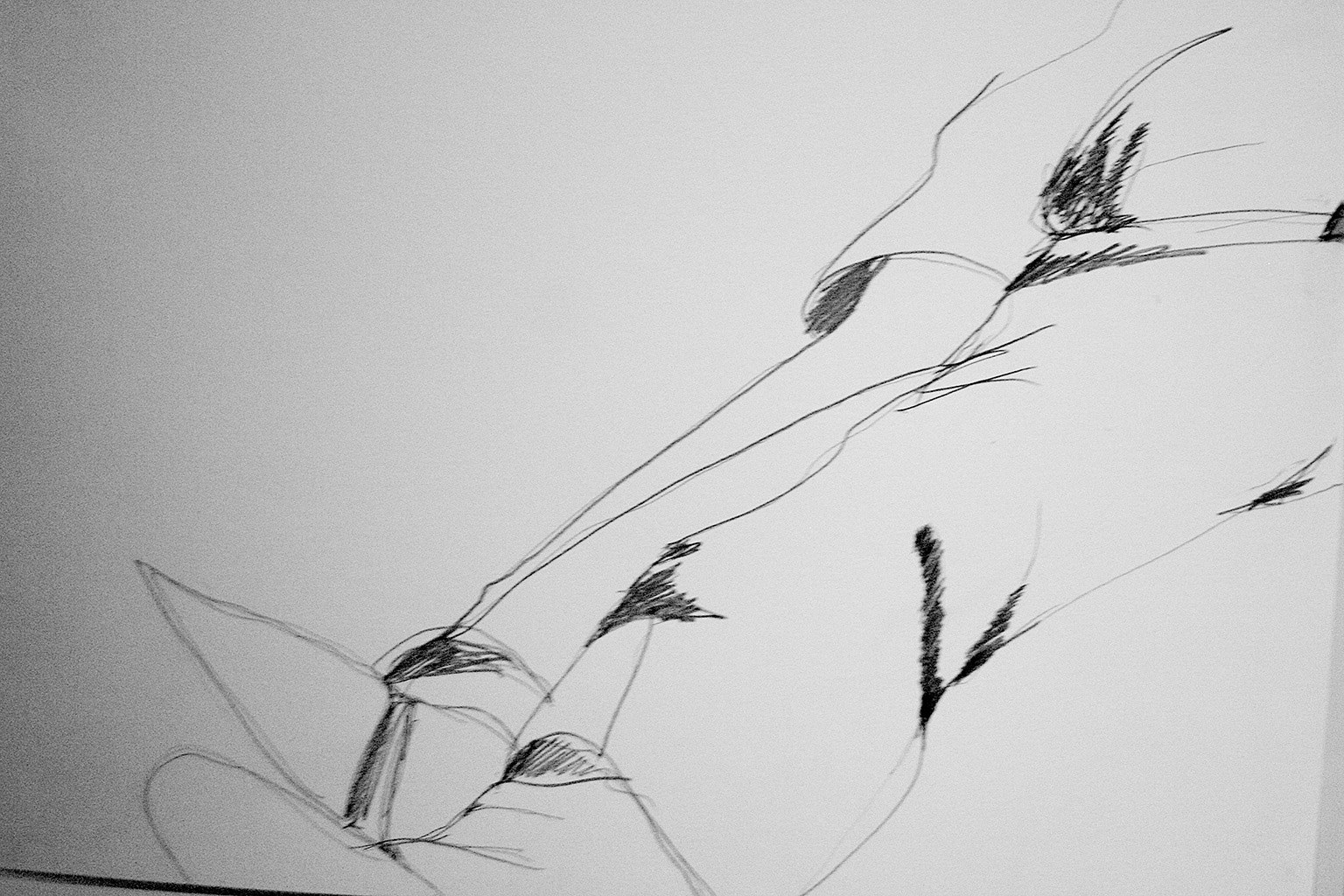 Dragana Sapanjoš, GLOAMING / DAWN, 2011 (study 5)
