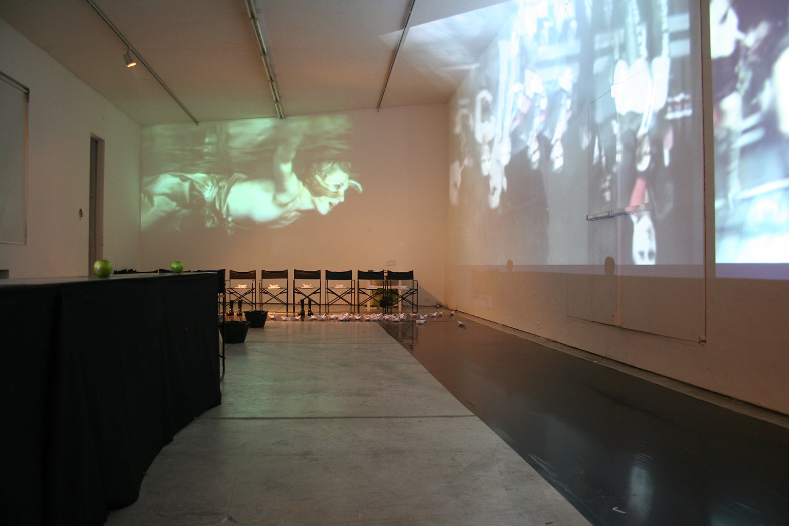 Dragana Sapanjoš, GOODBYE INFERNO, 2010 (image 1)