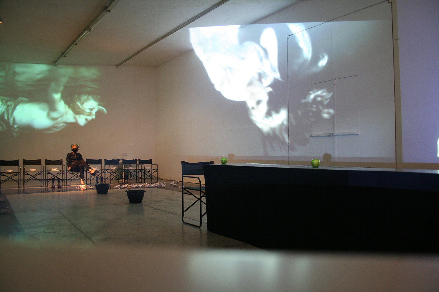 Dragana Sapanjoš, GOODBYE INFERNO, 2010 (image 2)