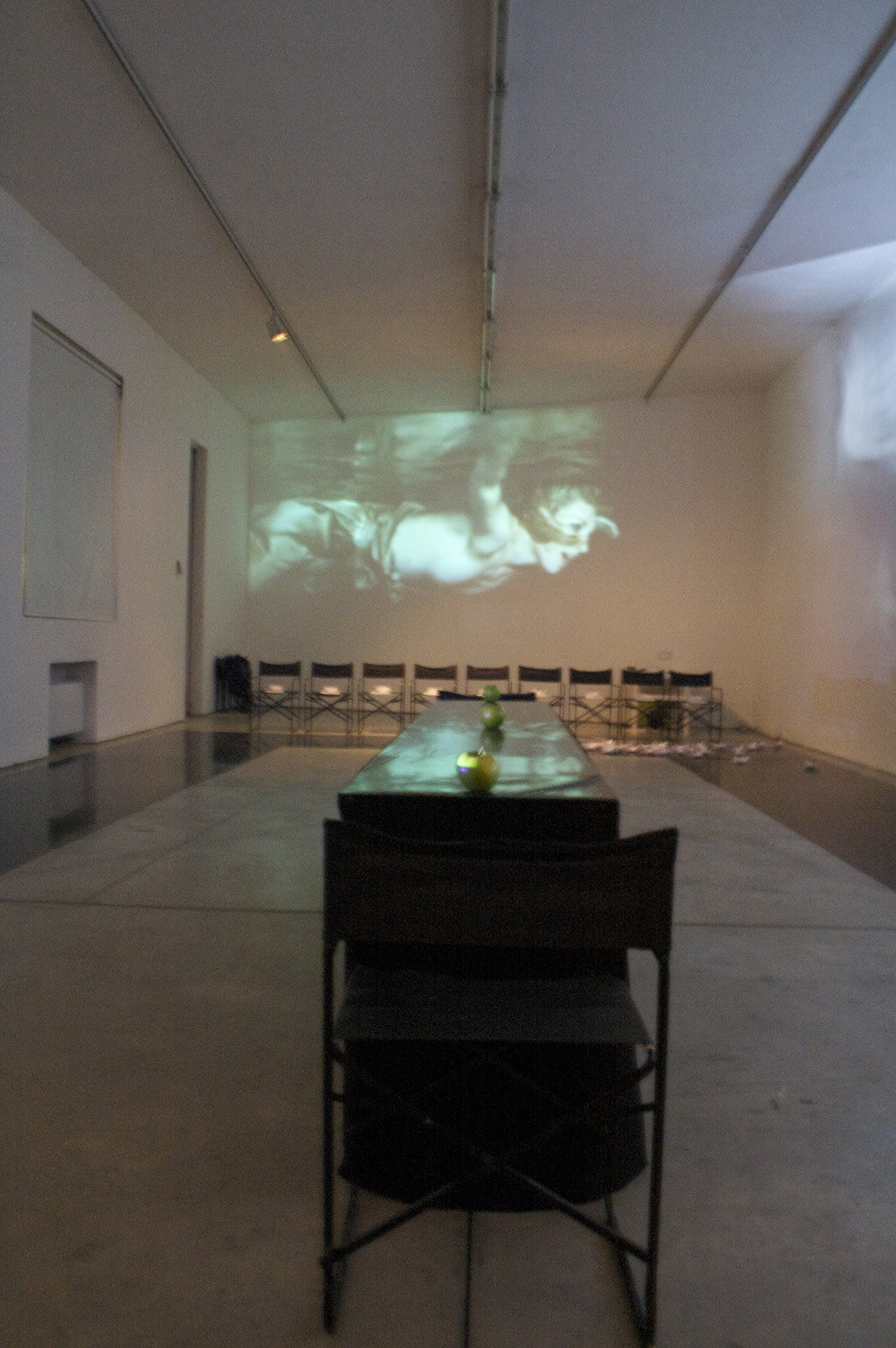 Dragana Sapanjoš, GOODBYE INFERNO, 2010 (image 4)