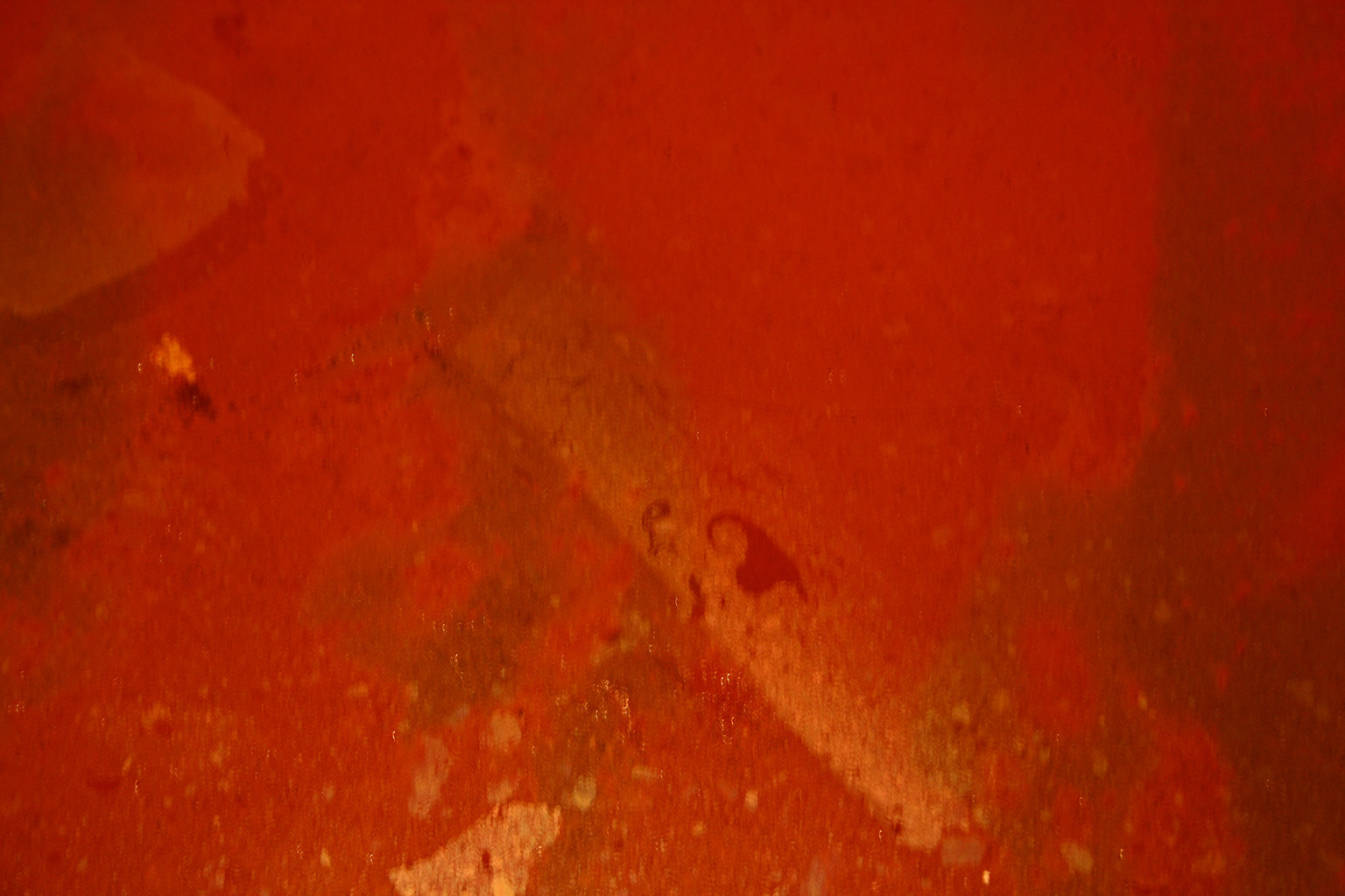 Dragana Sapanjoš, GOODBYE INFERNO, 2010 (image 8)