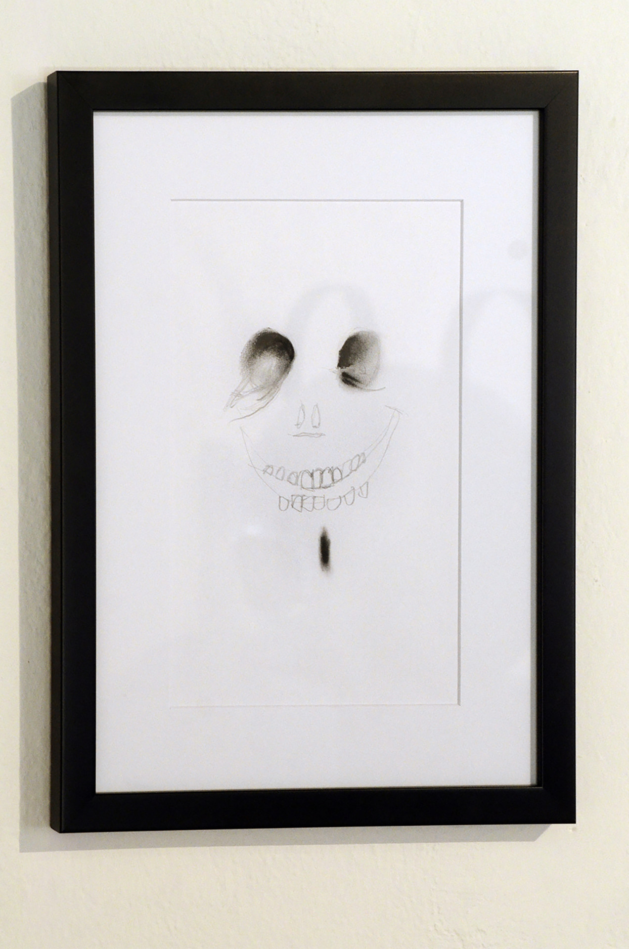 Dragana Sapanjoš, I DID ALL MY BEST TO SMILE, 2013 (image 8)