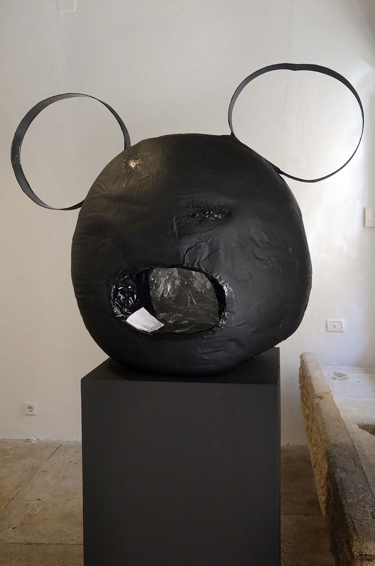 Dragana Sapanjoš, I DID ALL MY BEST TO SMILE, 2013 (image 9)
