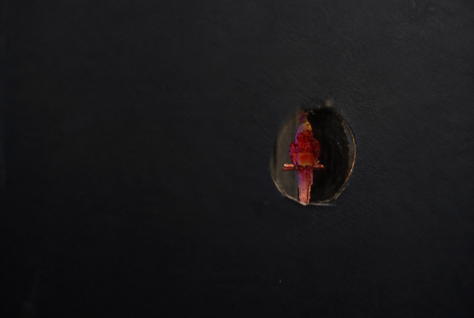 Dragana Sapanjoš, IN THE RIGHT PLACE, 2019 (image 6)