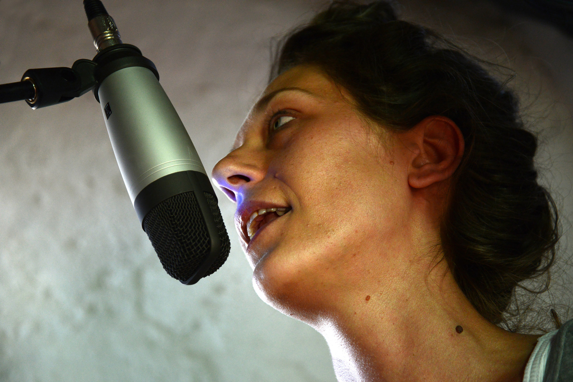 Dragana Sapanjoš, KARA OK!, 2013 (image 3)
