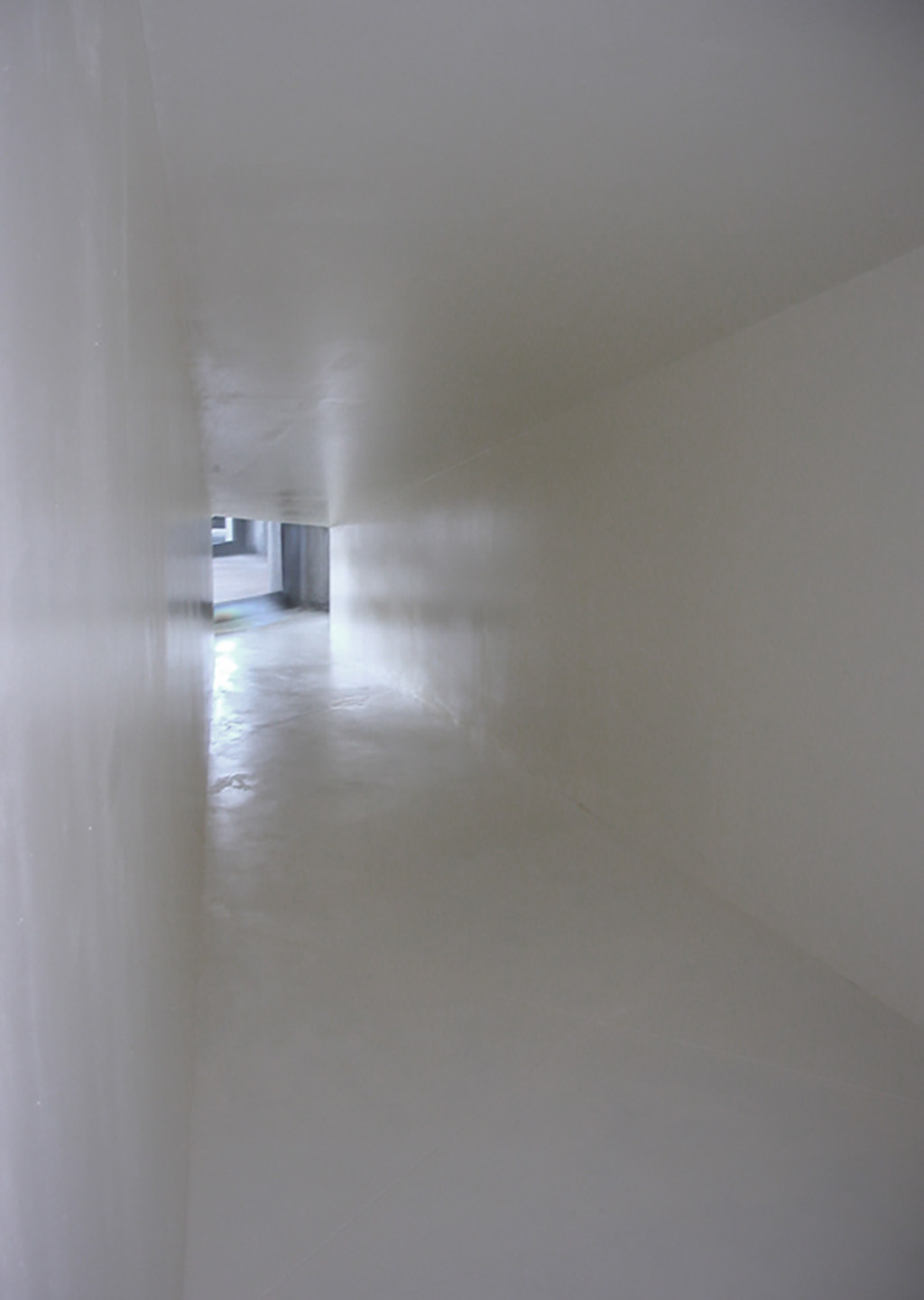 Dragana Sapanjoš, LLORANDO, 2005 (image 4)