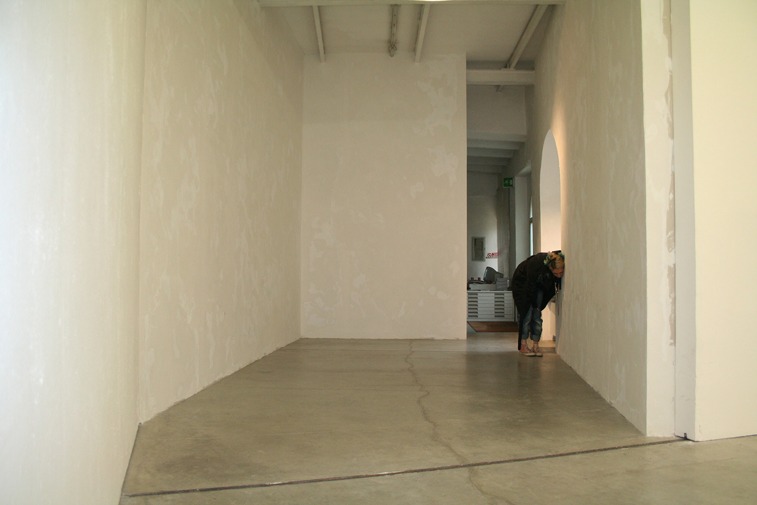 Dragana Sapanjoš, MAKE YOUR OWN KIND OF MUSIC, 2010 (image 6)