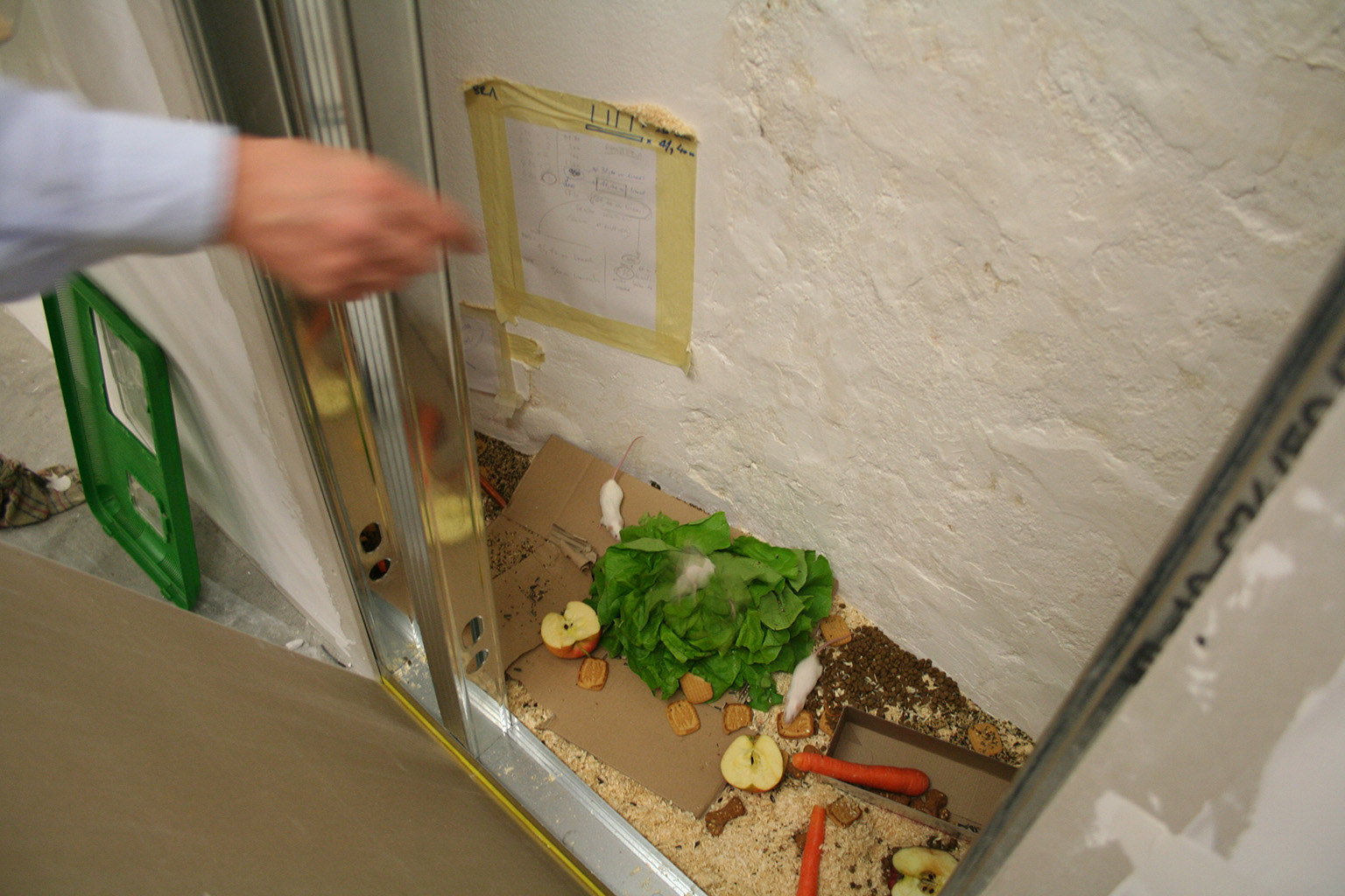 Dragana Sapanjoš, MAKE YOUR OWN KIND OF MUSIC, 2010 (image 11)