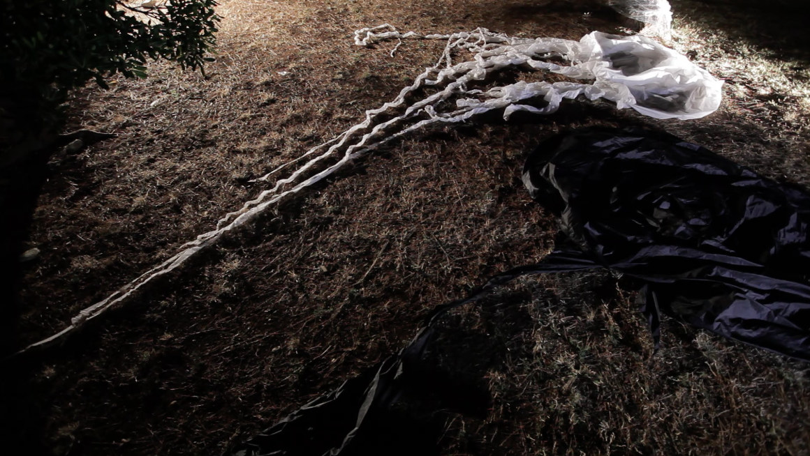 Dragana Sapanjoš, TRISTAN IZOLDA, 2015 (image 1)