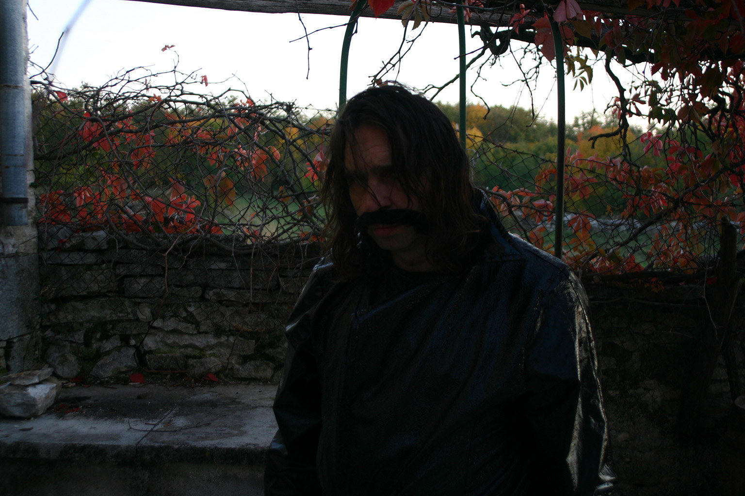 Dragana Sapanjoš, V.M.: BAD ROMANCE - Alejandro, 2011 (image 2)