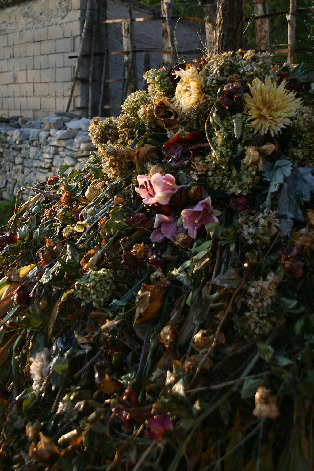 Dragana Sapanjoš, V.M.: BAD ROMANCE - Alejandro, 2011 (image 7)