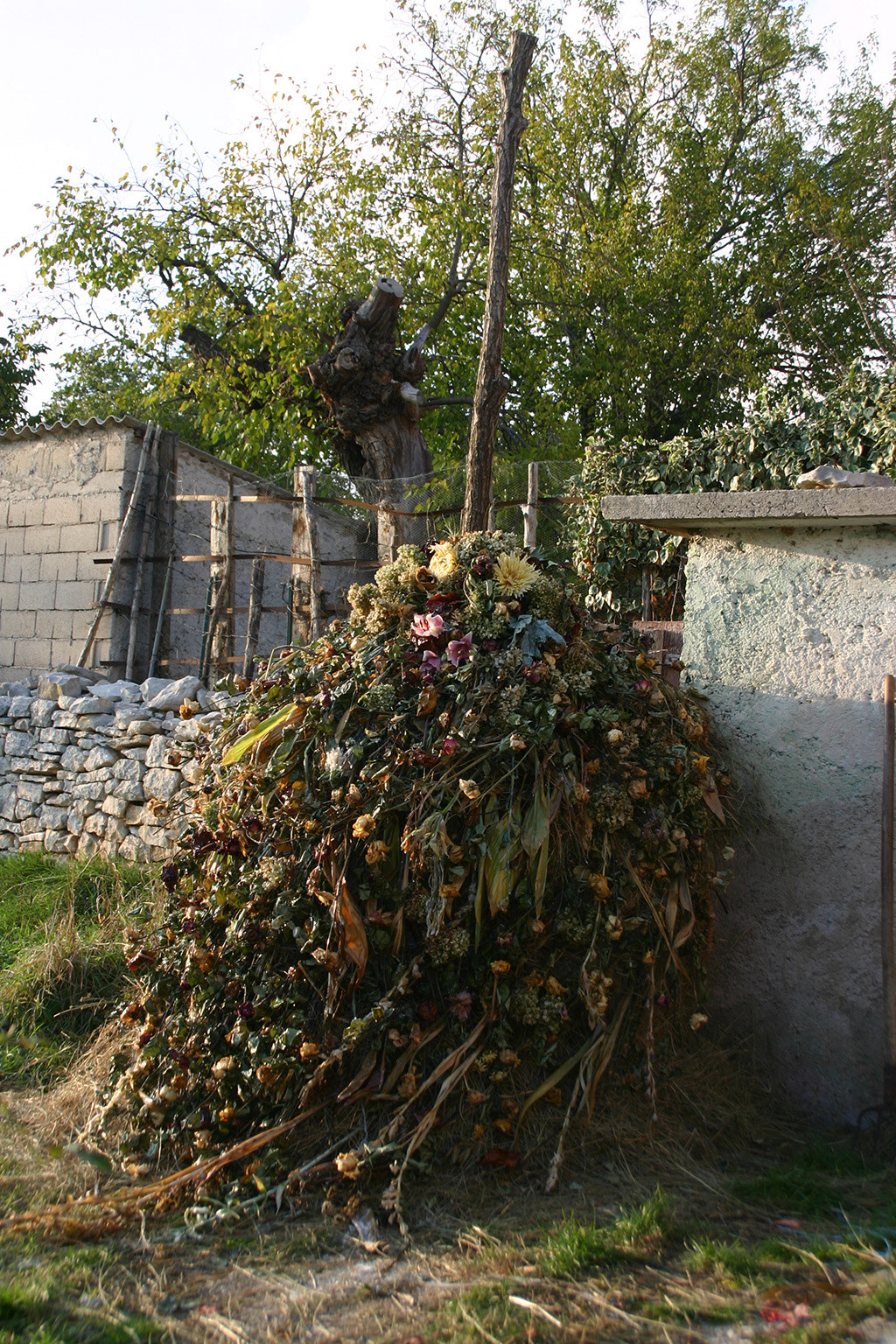 Dragana Sapanjoš, V.M.: BAD ROMANCE - Alejandro, 2011 (image 9)