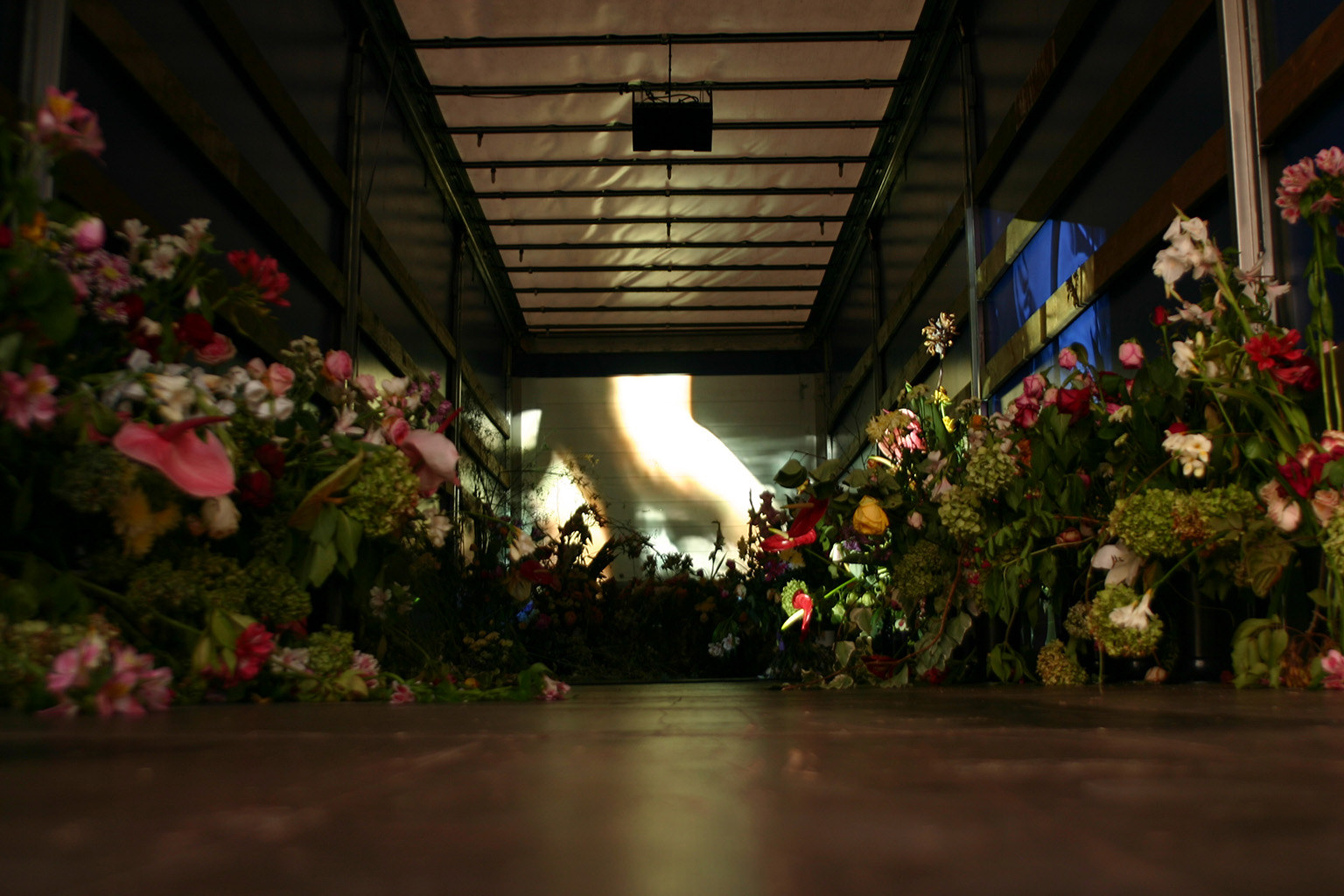 Dragana Sapanjoš, V.M.: BAD ROMANCE - good morning Mr. Dirac, 2011 (image 6)