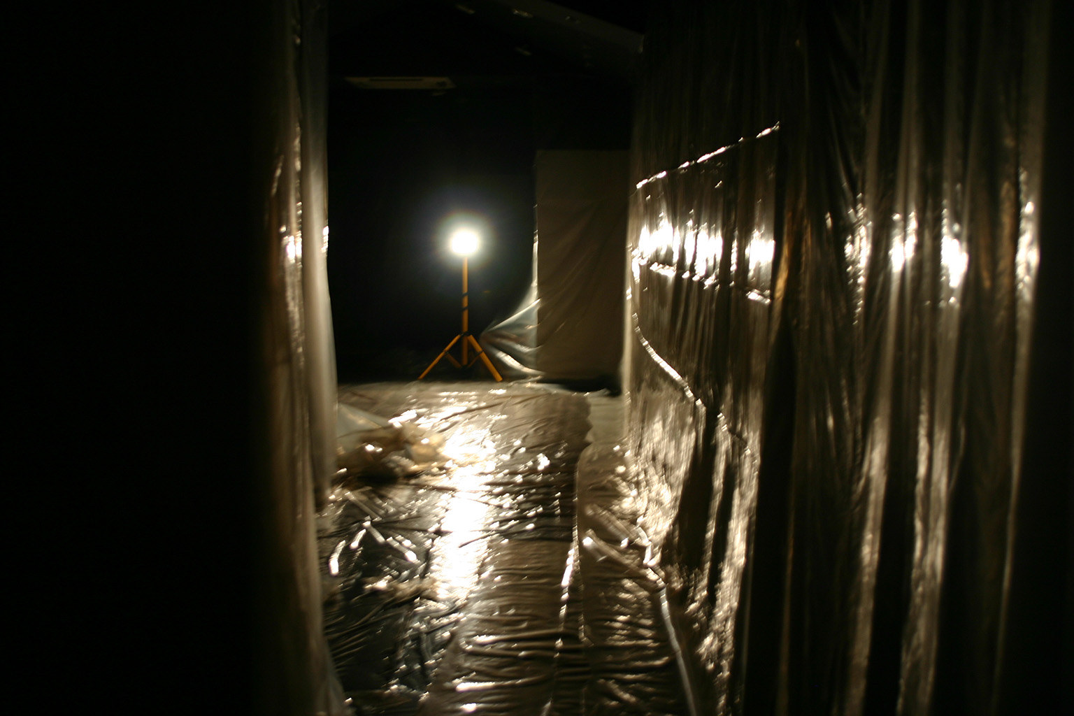 Dragana Sapanjoš, V.M.: BAD ROMANCE - Ray of light, 2011 (image 3)