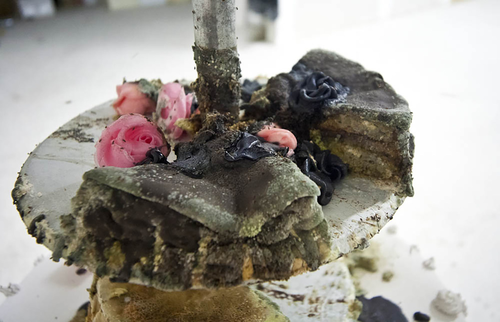 Dragana Sapanjoš, VIS MAJOR - Sinking, 2011 (image 14)