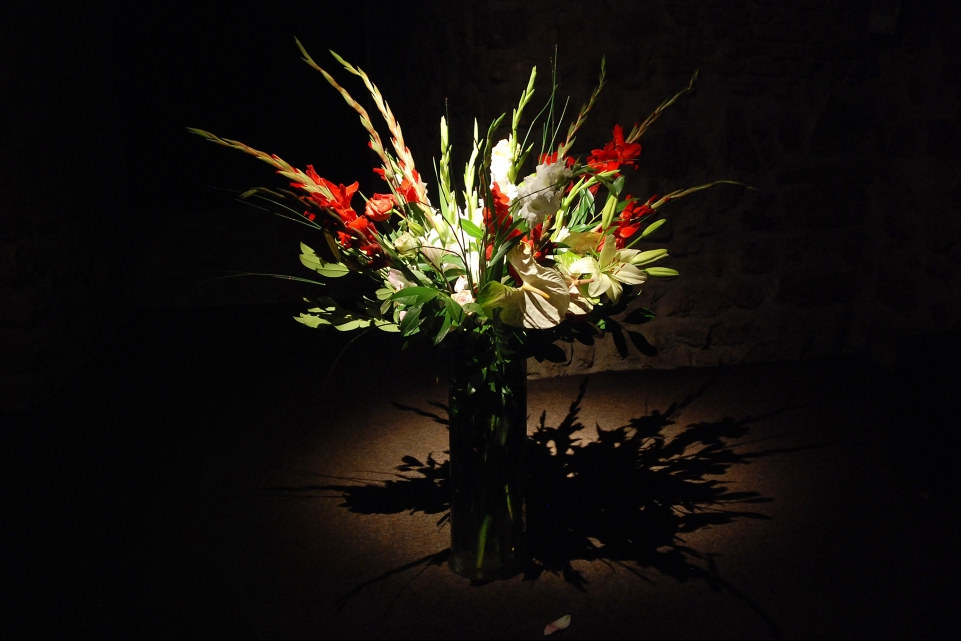 Dragana Sapanjoš, VIS MAJOR - UNTITLED, 2011 (image 1)