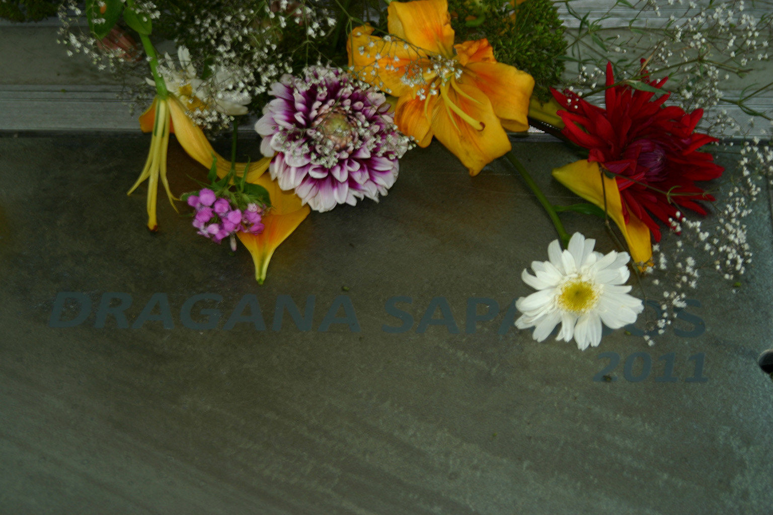 Dragana Sapanjoš, VIS MAJOR - UNTITLED, 2011 (image 2)