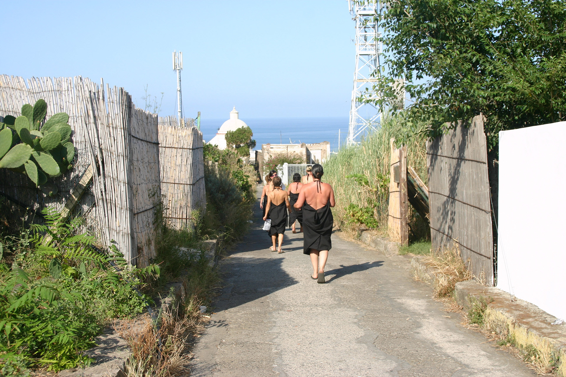 Dragana Sapanjoš, VIS MAJOR - Vulcano Extravaganza, 2011 (image 2)